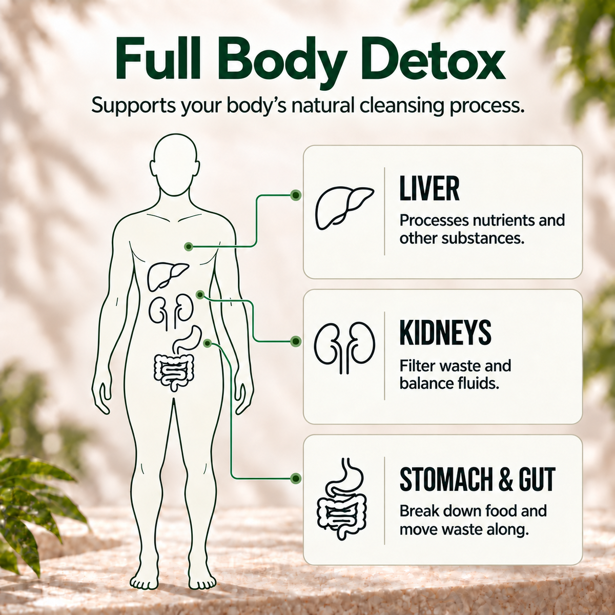 7-Day THC Detox